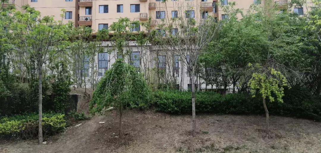 武清低总价优质小区,武清不值得买的小区排名