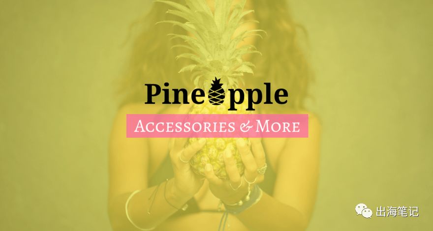 8周流水6700美元Dropshipping运营全流程曝光丨出海笔记