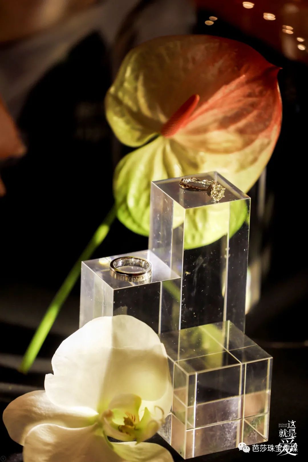 十大必买婚戒,十大必买经典婚戒