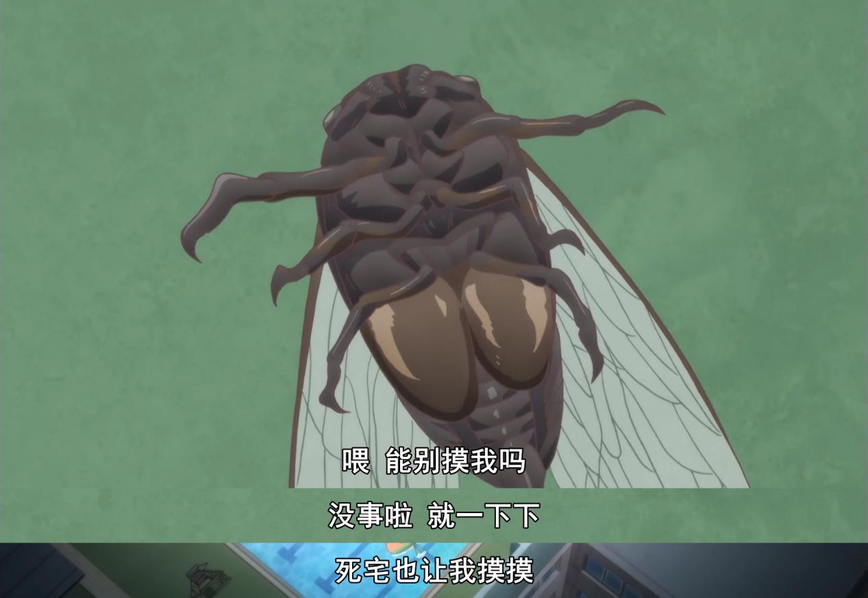 《女高》第8话：泳装献上，满屏虎狼之词的背后竟让人细思极恐