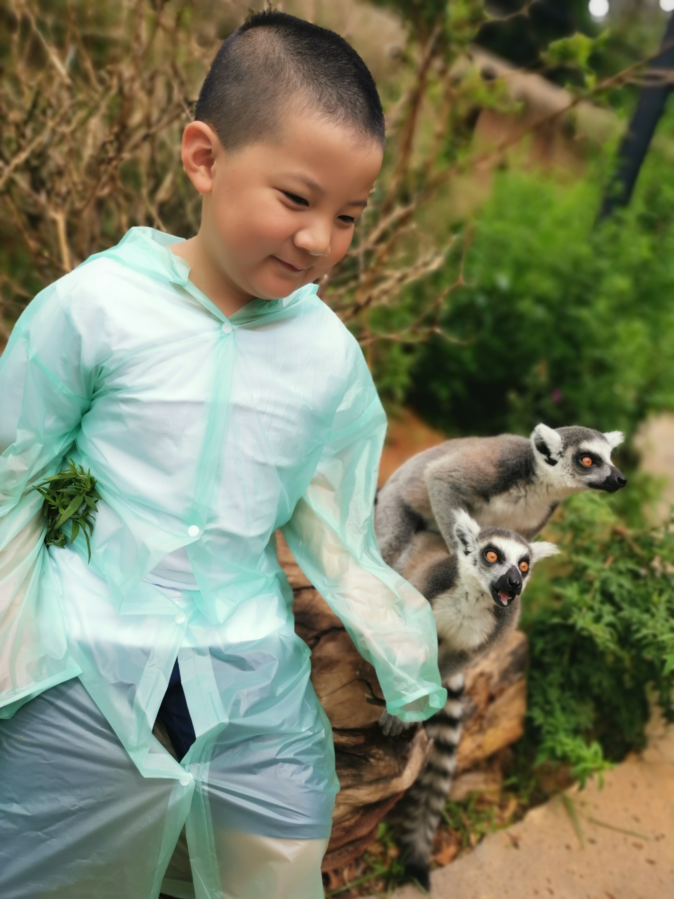 云南野生动物园免票吗,云南野生动物园有什么好玩的