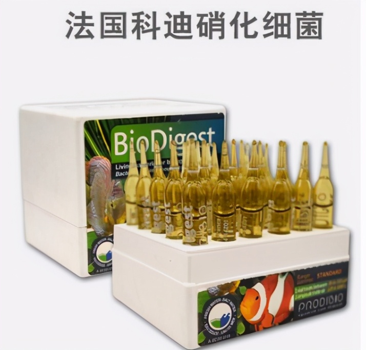 鱼缸黄水绿水怎么处理,鱼缸绿水和黄水如何处理