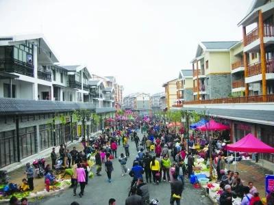 农村种植创业的项目小本生意,农村果树种植可行性