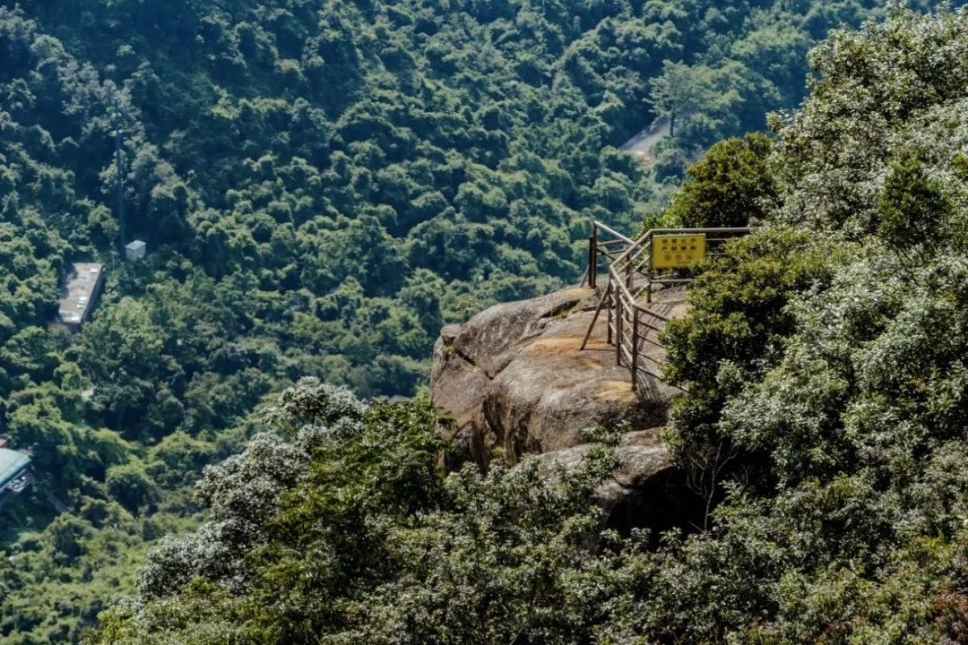 深圳游玩好去处攻略,深圳7个自驾游免费好去处推荐