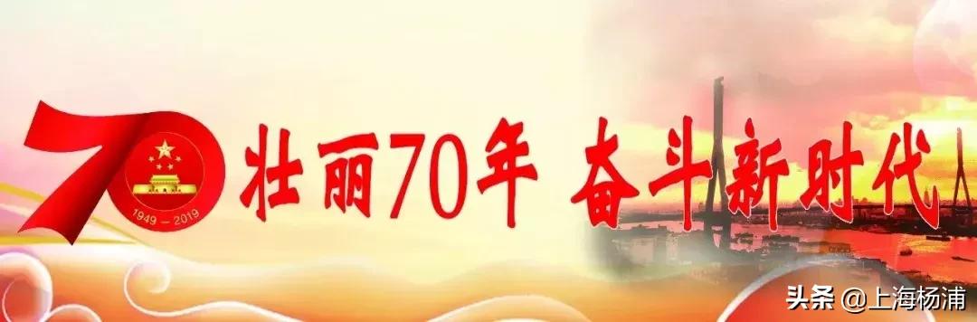 上海杨浦鸟瞰图,俯瞰上海杨浦滨江