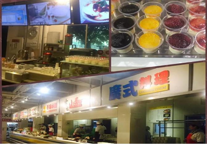 松树桥中学最新消息,松树桥中学怎么样