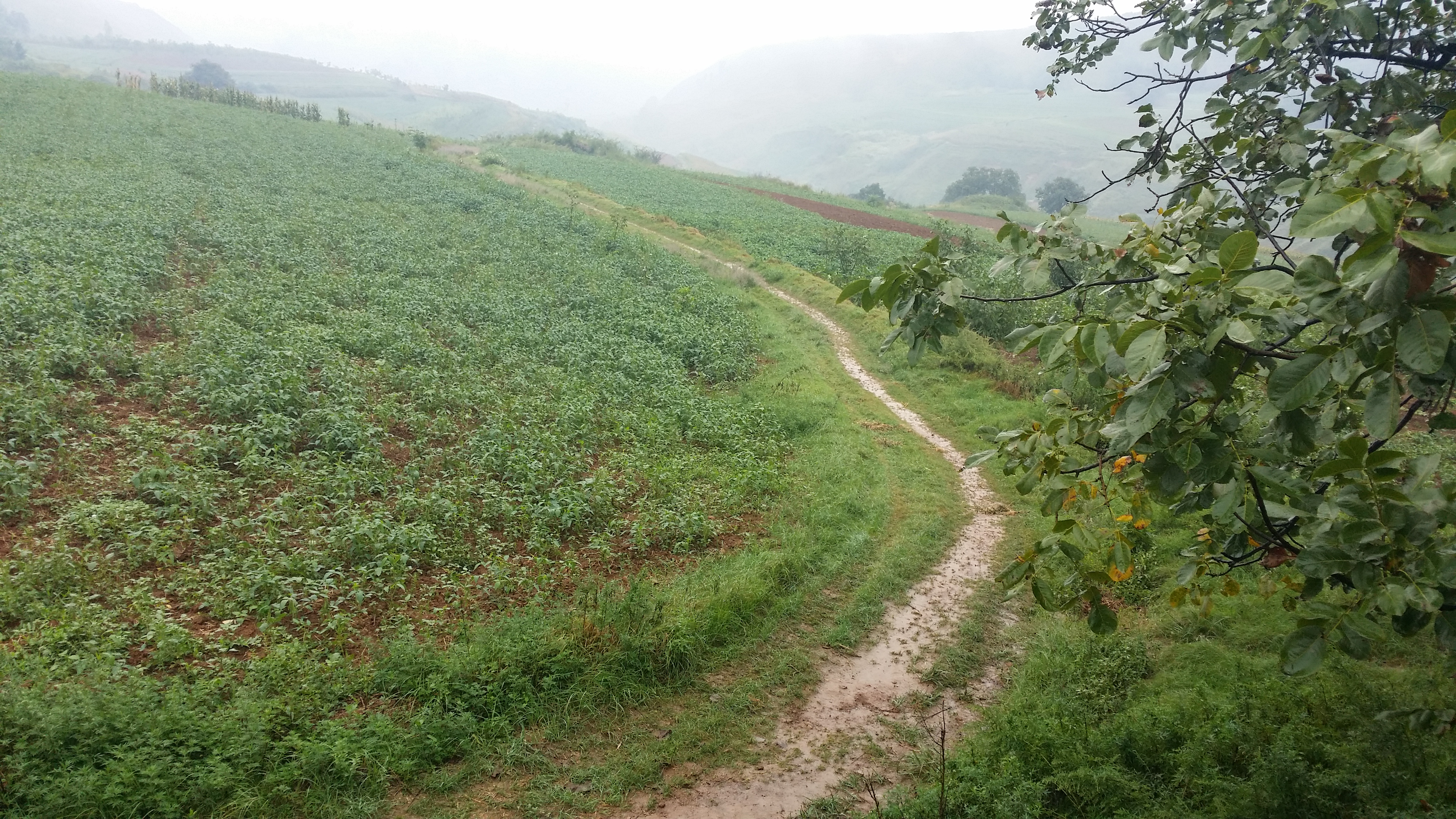 孔明诗词名句,孔明写的诗句