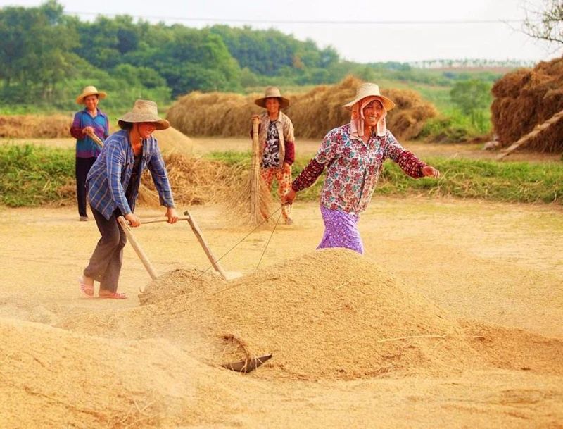 李子柒被造过哪些谣言,李子柒被写入小学语文试卷引争议