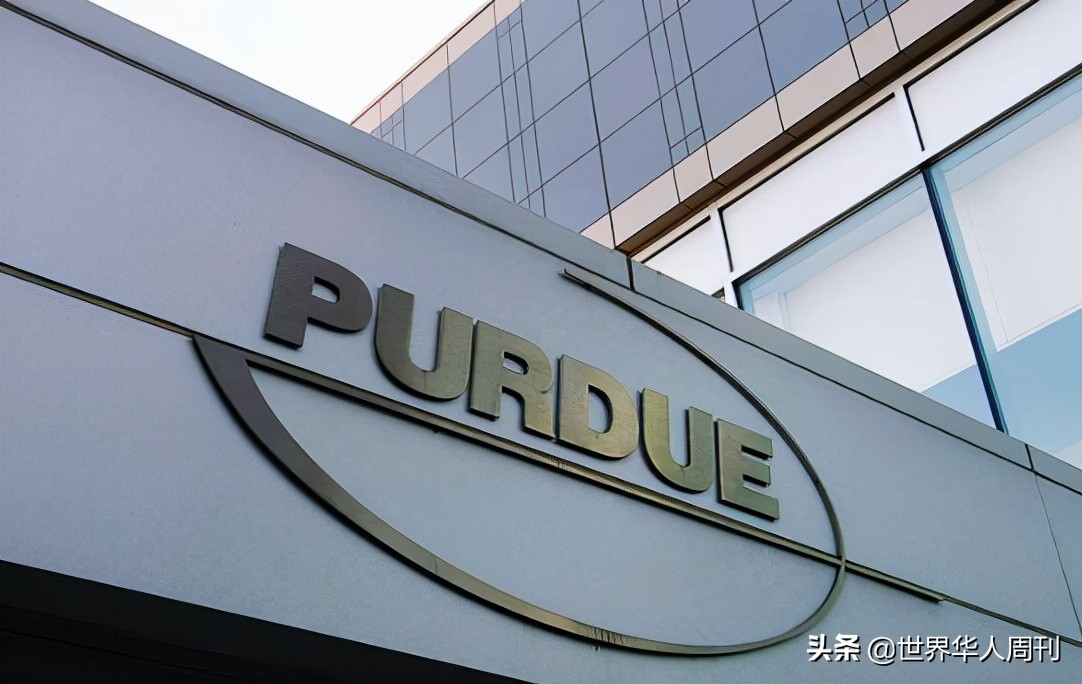 豆瓣9.1分的神剧,豆瓣9.7分的神剧