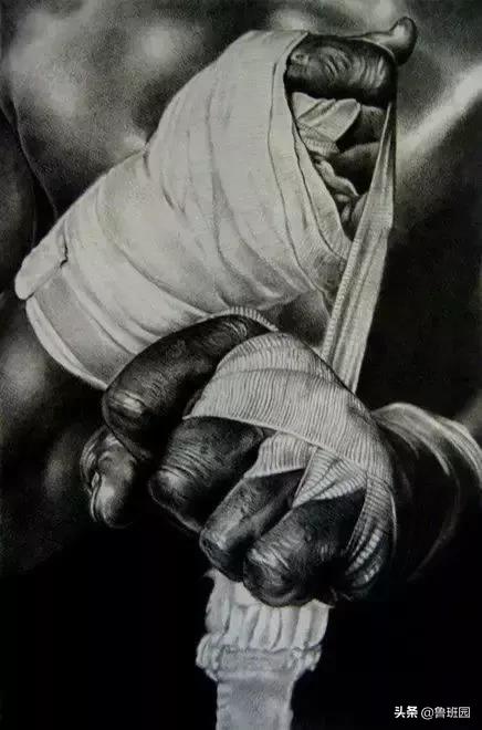 橡木种类大全及图片,史上最专业橡木介绍快来收藏吧