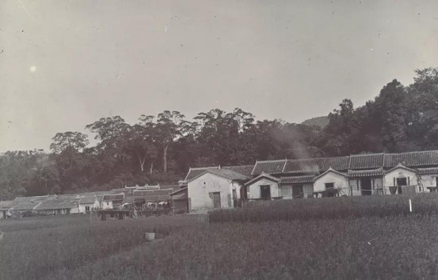 中国最厉害的法医,他是中国物理学第一人