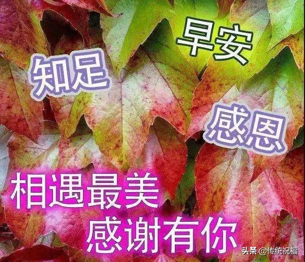 早上好问候祝福语暖心句子图片,早晨问候早上好的暖心句子图片
