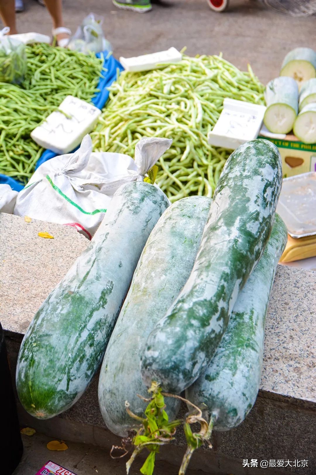 带你逛北京最大早市,北京正宗早市推荐