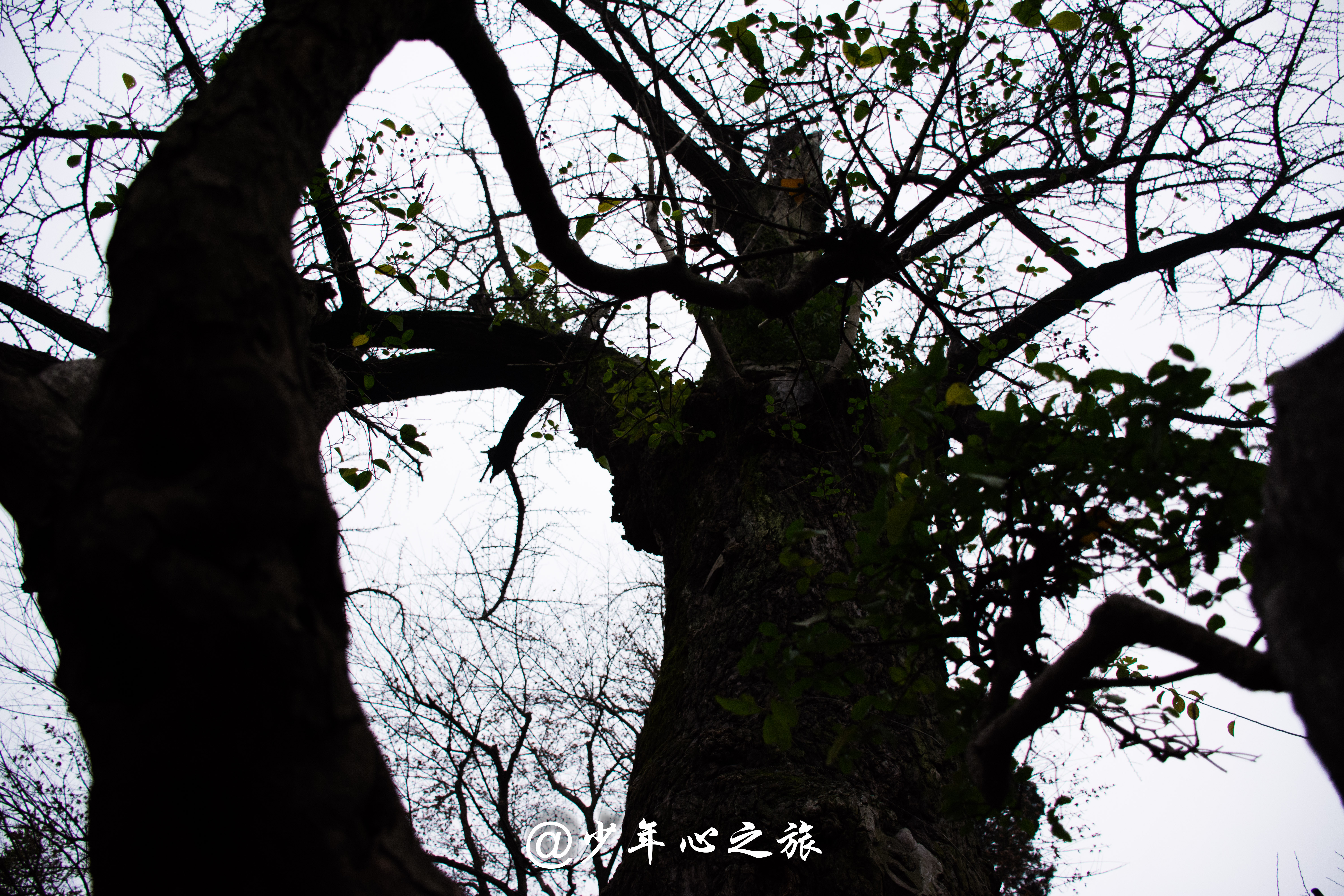 苏州亲子园林,苏州适合带小孩游玩的园林