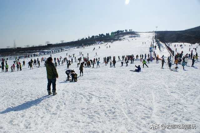 临沂茶山滑雪场抖音团购,临沂茶山滑雪场团购