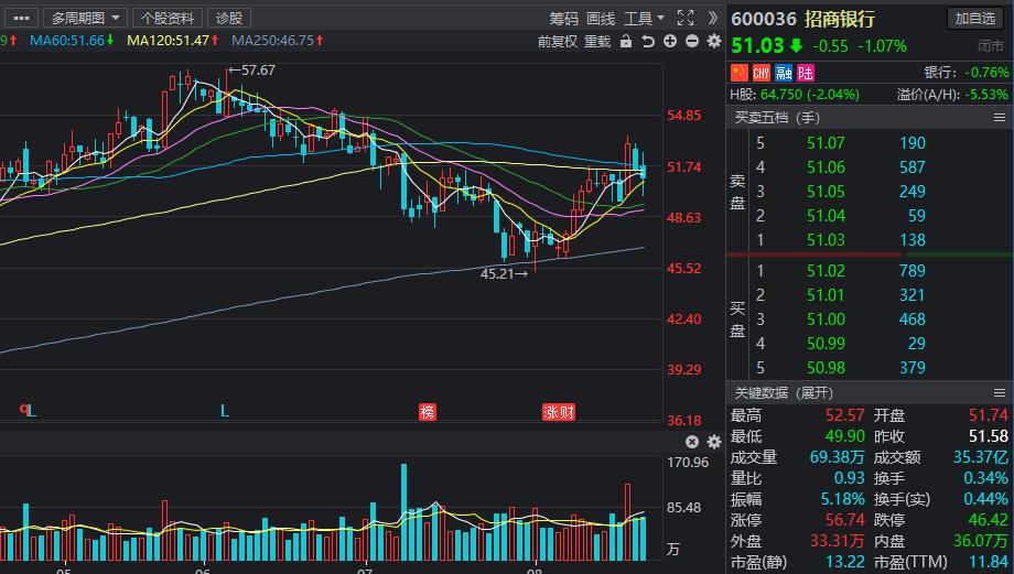 大盘重仓股龙头,外资加仓的自动化龙头