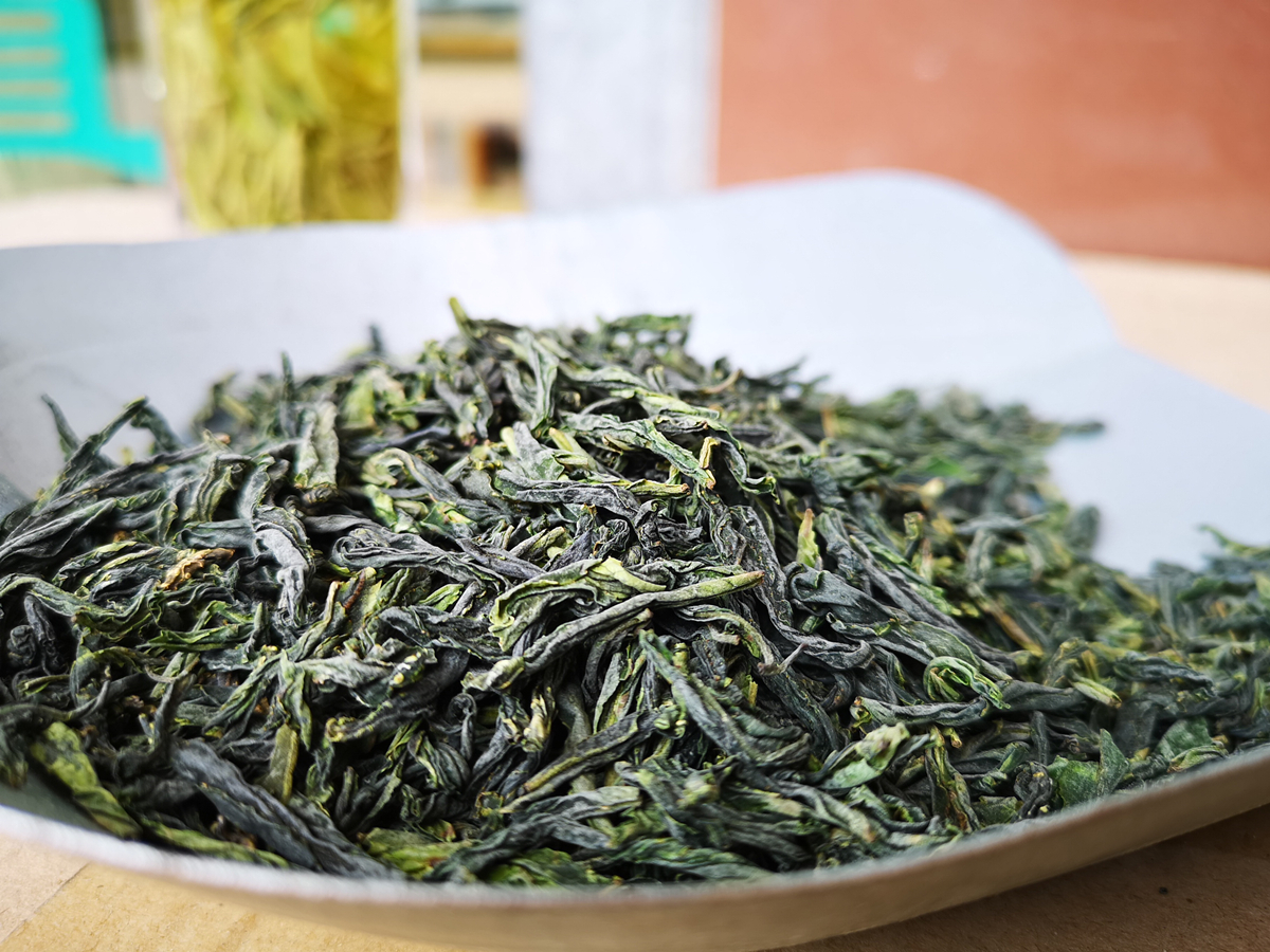 中国十大名茶绿茶六安瓜片雀舌茶,中国好茶排行榜前十名六安瓜片