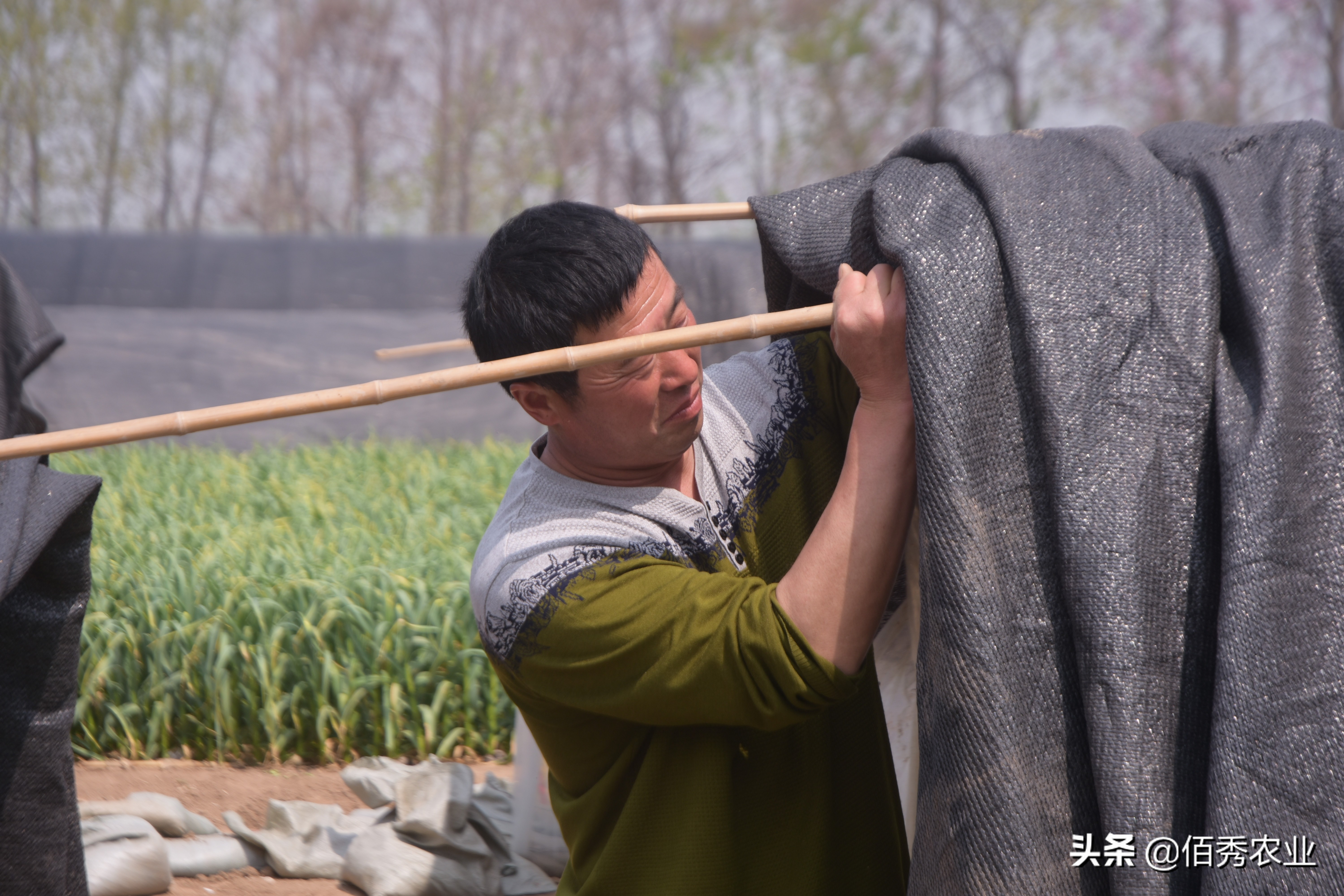 农村打工怎么样才能赚钱,自己外出打工的农民每天赚钱不少