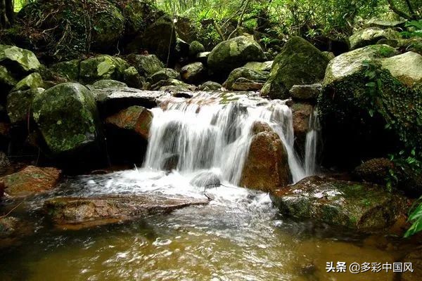海南天然氧吧舒适景点,海南岛热带天然森林