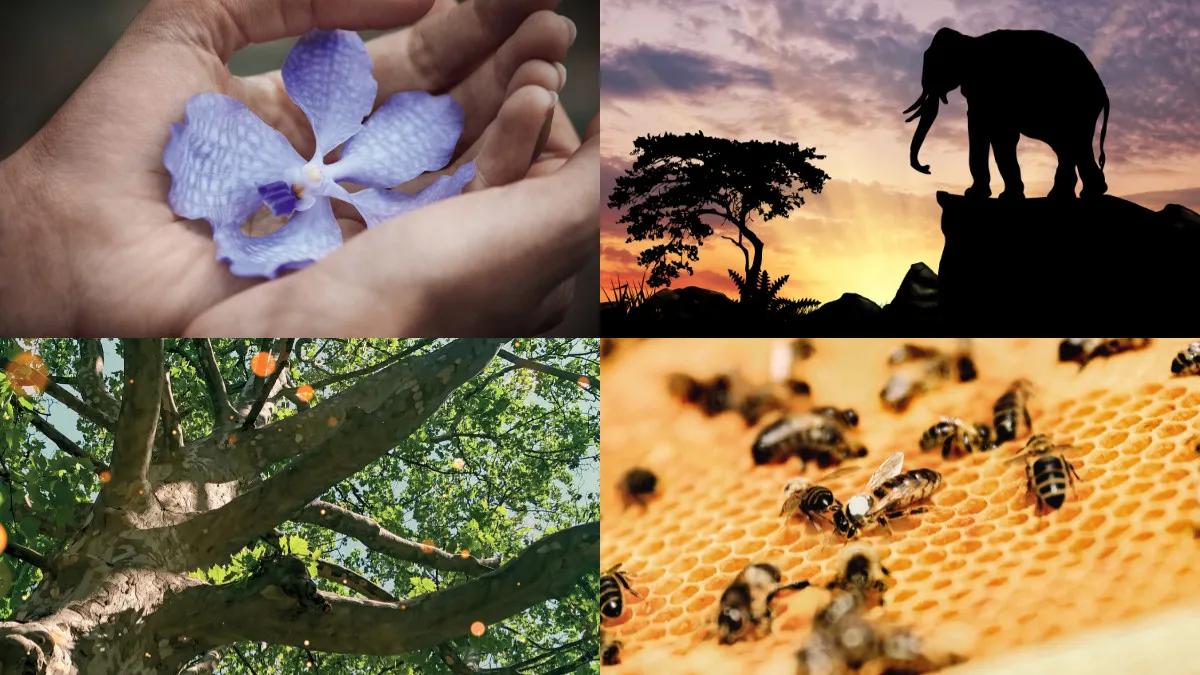 地球日50周年,追求零碳排、资源永续,看美妆品牌为环保做了什么