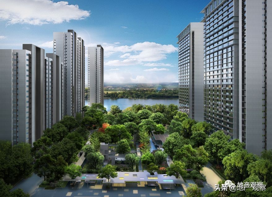 一个具备网红潜质的品质项目