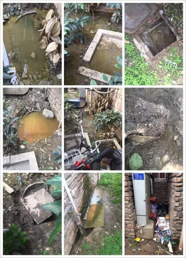 江北又一家小区引入弘阳物业！1171户业主有福了