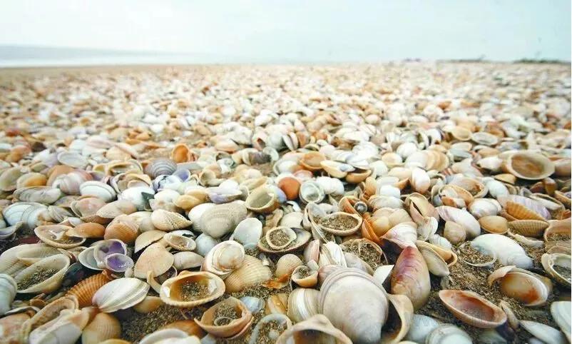 这就是天津话,这就是天津卫原版