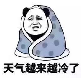 如何打坐冥想后想睡脑子很清醒,教你一个简单静心冥想的办法