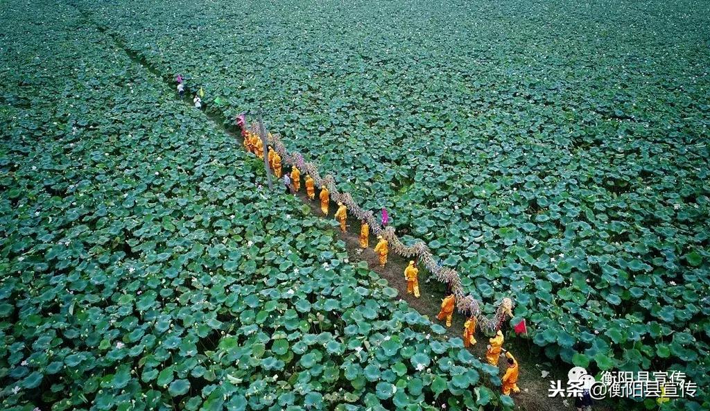 燃!衡阳才子写的一首《衡阳县赋》,赞100遍“好有才”都不够