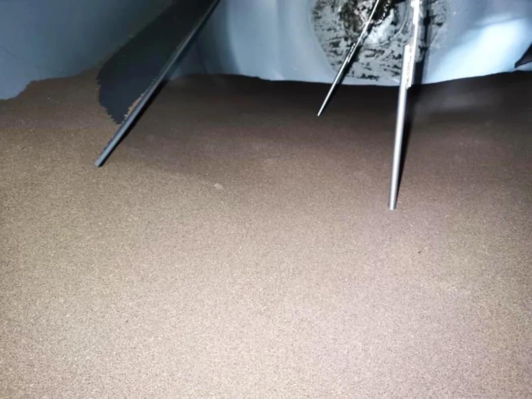 生物发酵饲料的市场前景,中国生物发酵饲料有哪些