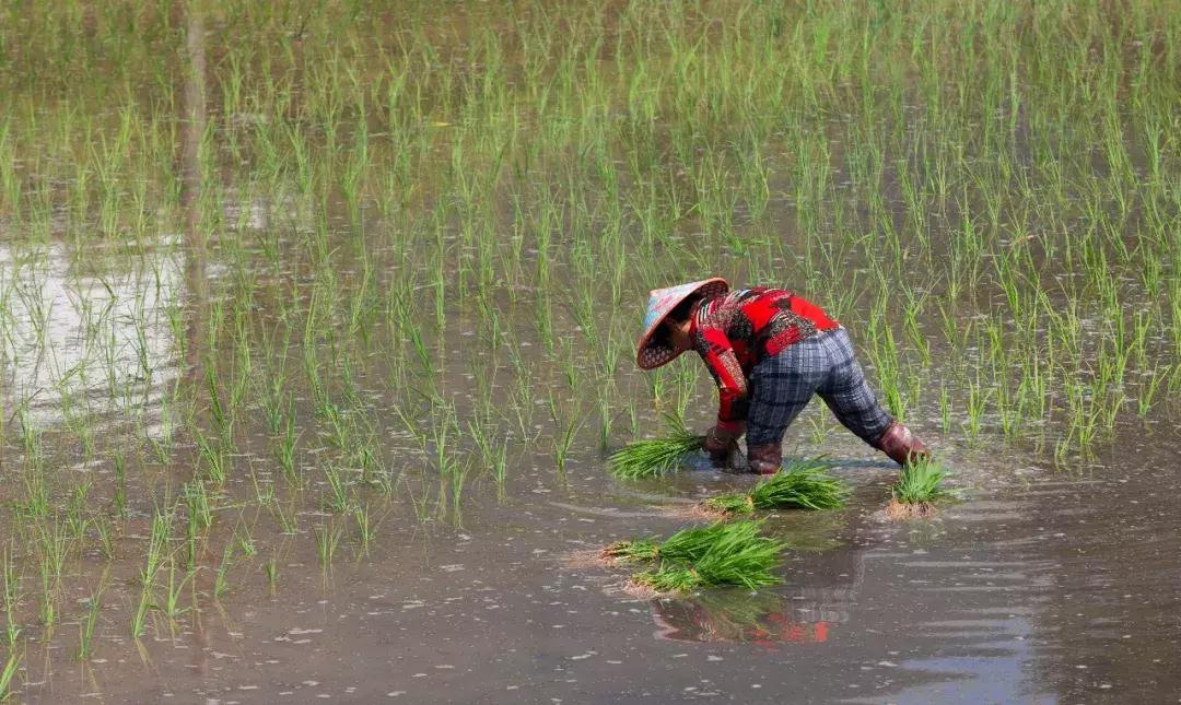 筑梦8年,承包1600亩土地,打造亲子版唐顿庄园,体验庄主生活