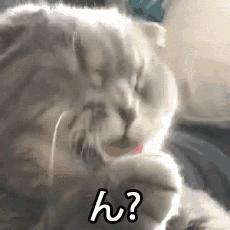 女子电动车被盗民警找回,电动车被盗的女贼