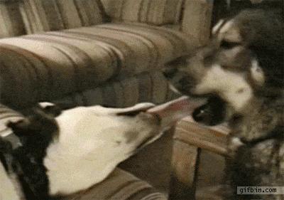 影视剧里最真实的自尽,电视里的咬舌自尽真的会自尽吗