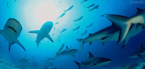 罗源乡下一日游,罗源一日游攻略自由行