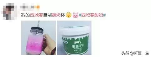 疆新域酸奶,新款新疆伊犁酸奶