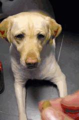 娆ц秴,娆ц秴杩樻湁鎴忓悧