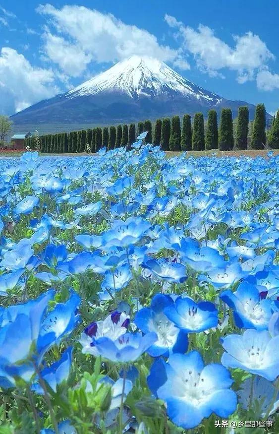 惊艳,百年罕见的绝世美照