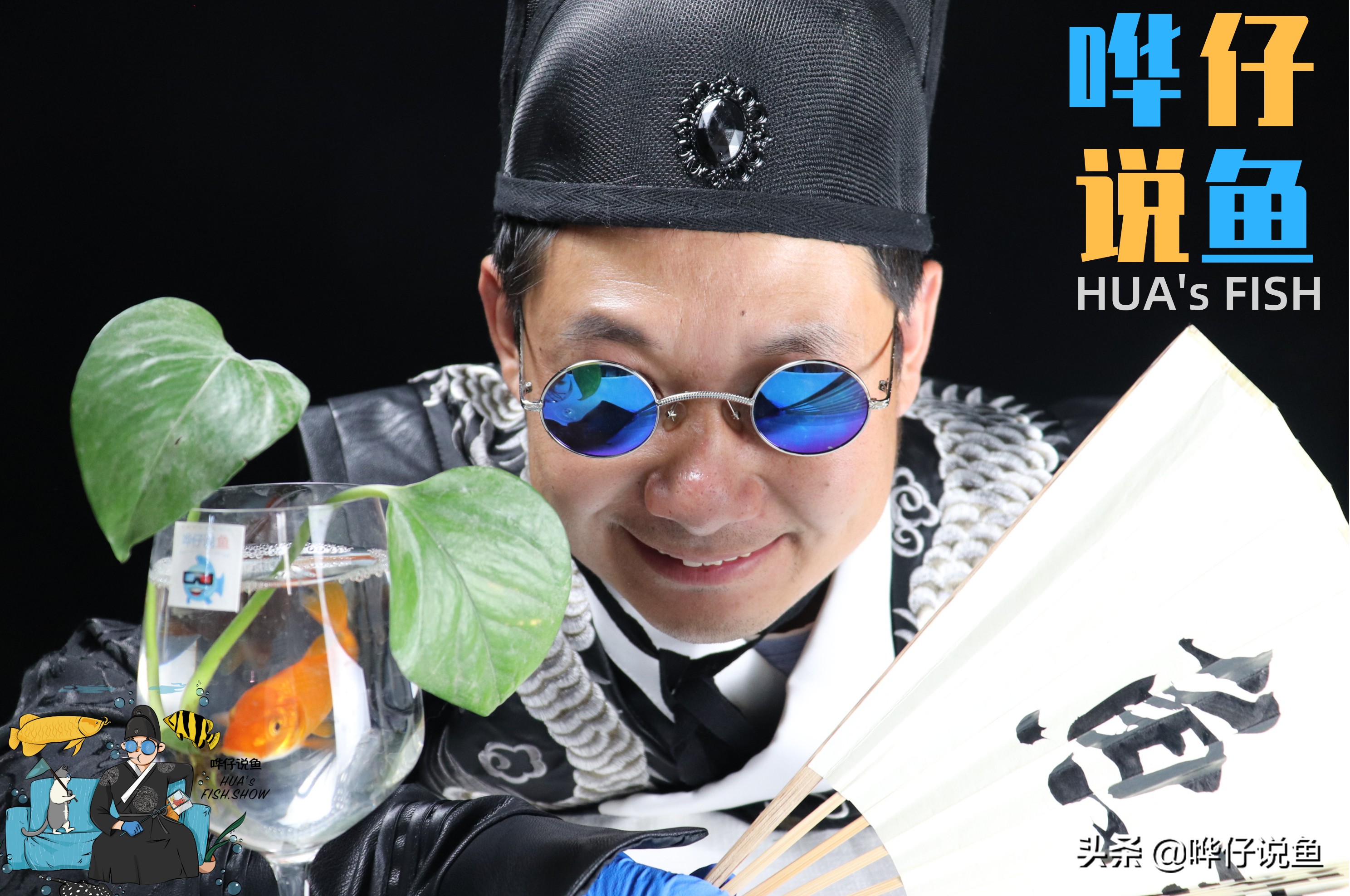 养锦鲤是五条好还是六条好,锦鲤的三要和三不要