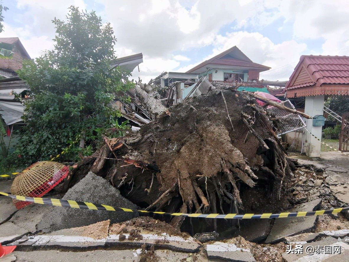 当街*战野**拍淫秽视频震怒神明？泰国情侣被逮捕