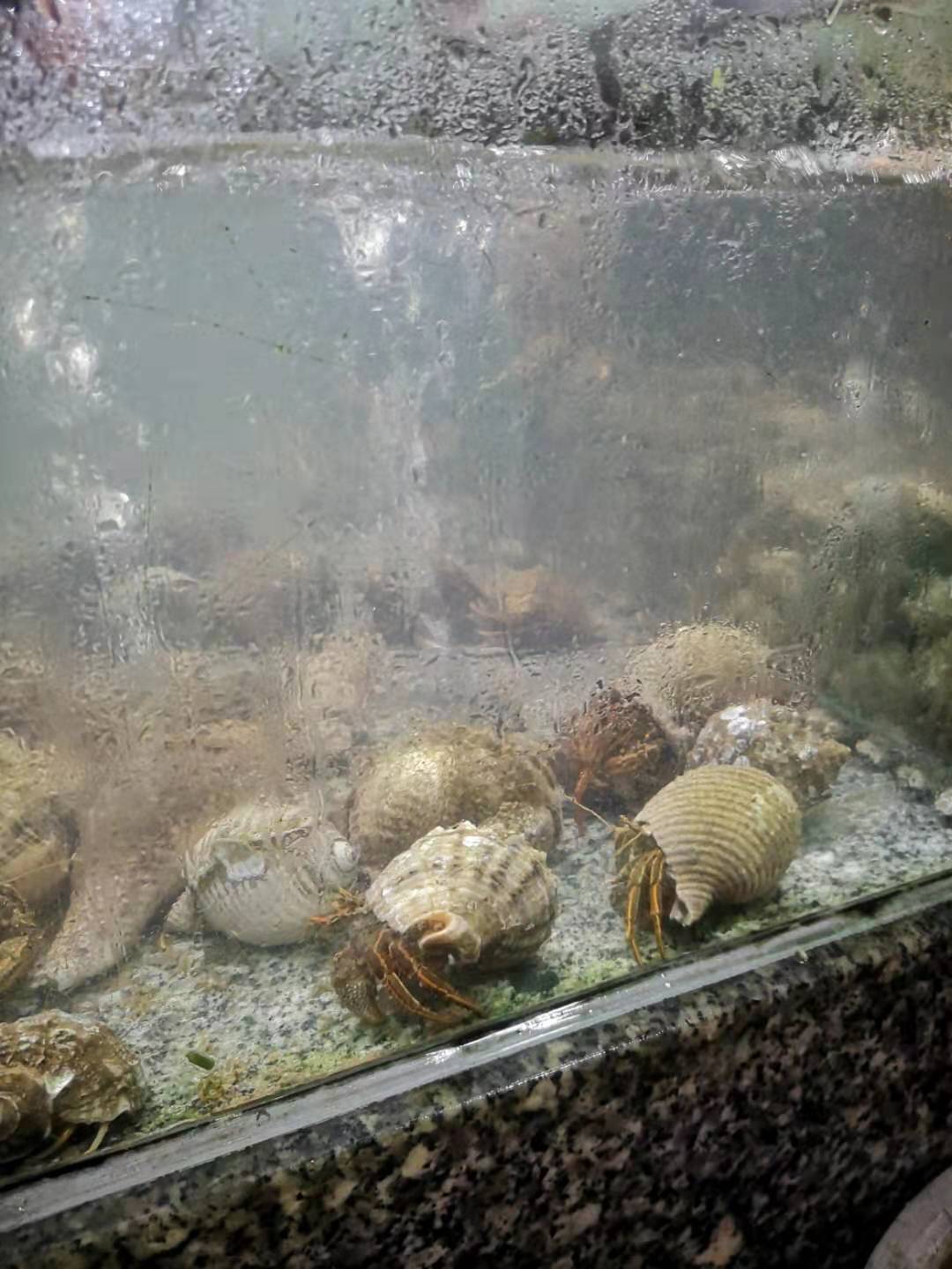 广东十大绝美岛屿,广东下川岛风景图片