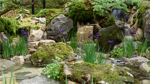 切尔西花展举办,2020年切尔西花展抢先看