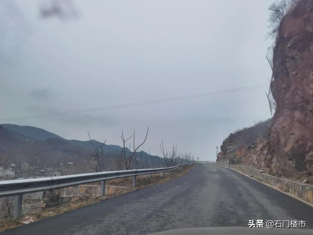 实探现场,实探日本果园