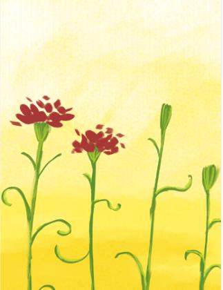 教师节儿童画康乃馨,八岁小孩画简单教师节的绘画