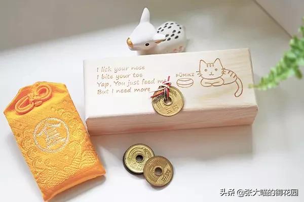 猫咪主人中彩票,捡了流浪猫后中彩票