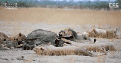 9.4分韩国催泪电视剧,韩国十部9.5评分催泪电影