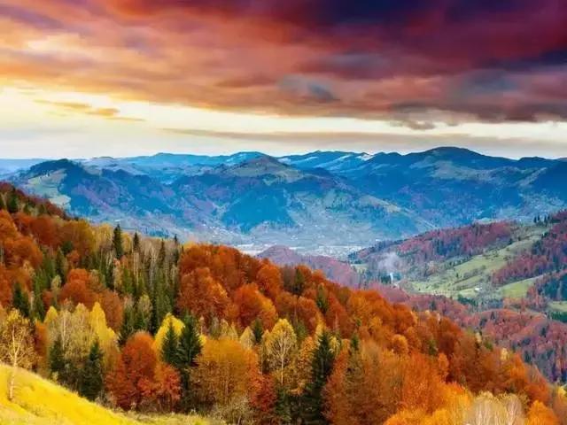 川西彩林自驾风景,川西三大草原绝美自驾游