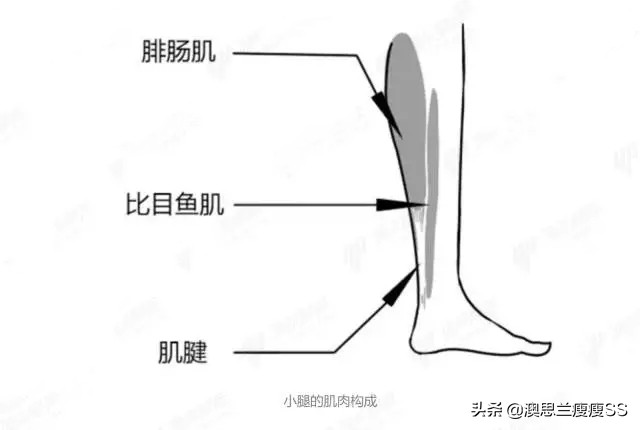 拉伸和按摩可以瘦腿吗,瘦腿霜按摩大腿内侧