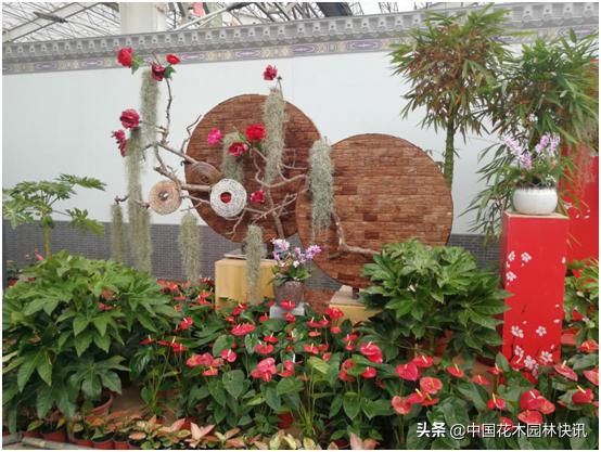 行业盛会视频,行业精英齐聚展会