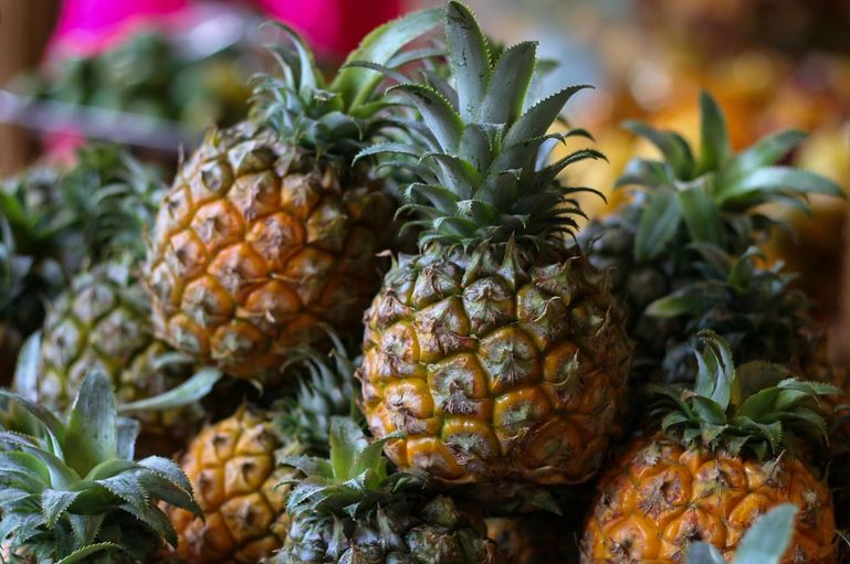 7个水果冷知识大全视频,有关水果草莓的知识