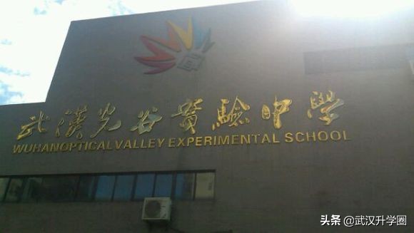 东湖高新区初级中学,东湖高新小学初中排名